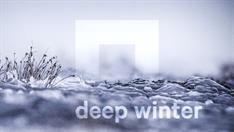 Deep Winter Lucas Dominicus